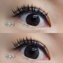 천리안안경원 이미지