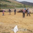 망상오토캠핑리조트 이미지
