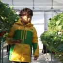 부창농장 이미지