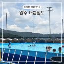 어썸매점 | 양주 어썸월드 취사가능 수영장 텐트존 장단점 솔직 후기