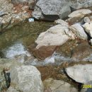 청강농원 이미지