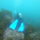 주식회사 한국교육여행사 이미지