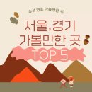 추석 연휴 가볼만한 곳 서울경기 베스트 5 - 2023년 버전 총정리