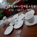 예쁜 꽃그리기(보테니컬아트) 이미지