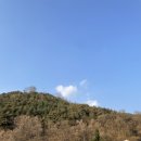 비룡농원 이미지