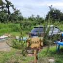 효심 농장 이미지