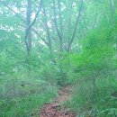 제천~원주 오지 생태숲 및 십자봉 이미지