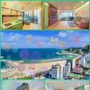 스테이 다로 이미지