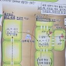 1권 8장 광합성 381p 물의 이동 이미지