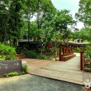 초록숲 하우스 이미지