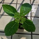 거제치유농업동산 이미지