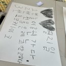 백련농장 | 무안 회산백련지 아이와 가볼만한곳｜동물농장 놀이터 장미정원까지