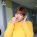 달콩 이미지