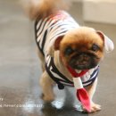 몽스토리 이미지