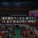 현대가스 | 2024 KBL 프로 농구 직관 후기, 대구 한국가스공사 페가수스 vs 울산 현대모비스 피버스 &#39;울산동천체육관&#39;