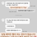 여왕벌민박 | 코끼리도 초식동물