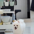 미라클 그루밍 이미지