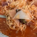 세꼬시집 | 속초 물회 맛집 추천! 현지인이 찾는 구구집 세꼬시물회·회덮밥 솔직후기