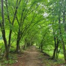 마교보건진료소 이미지