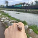 매호천 어울림마당 이미지