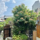 장복스테이 이미지