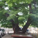 현동면사무소 이미지