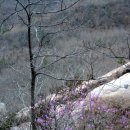 바람과 함께한 별뫼(별매)-가학-흑석산 산행..