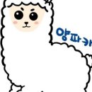 소망카랜드 이미지