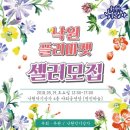 플라마켓