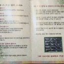 한라산쑥떡미당 - 7270 | 한라산쑥떡미당