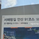 서해랑길91코스 경기둘레길51코스 대부해솔길1코스,2코스 안산구간(독도바다낚시터 입구~해솔길캠핑장...