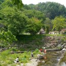 초성 농장 이미지