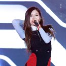 로제12 이미지