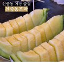 작은포차 | [부천] 신중동 야장 술집 추천, 안주 종류 다양한 '신중동포차' 내돈내산 후기
