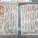 쪼꼬미앙 이미지