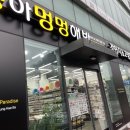 야옹아멍멍해봐 용인보정점 이미지