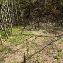 대나무생태원 화장실 이미지