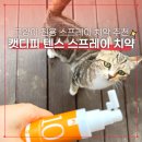 묘생역전 | 양치 거부 고양이 치약 추천! 캣디피 텐스 스프레이 고양이 뿌리는 치약 사용 후기