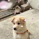 데이먼스네일 | 오늘을 살아내고 우리 내일로 가자