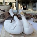 향남 문화의 집 이미지