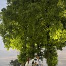 하늘하개 이미지