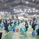 뷰티 앤 도그쇼 이미지