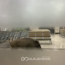 가톨릭병원 이미지