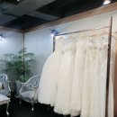 펠리스 | W. 펠리스노비아 드레스투어 후기｜화려한 비즈드레스 맛집 인정!