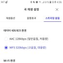 ㅍㄹ 스밍 aac mp3 이미지