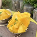 하양통 2 이미지