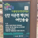 신안자연휴양림 이미지