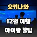 중부동물병원 | 12월 오키나와 겨울 날씨 옷차림과 아기랑 여행 준비물 꿀팁 및 일정