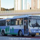 부일여객 이미지