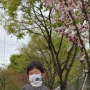 창원리고택 이미지